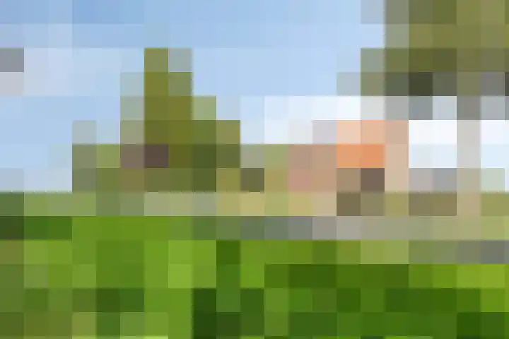 Waardweg 2 Middenmeer thumbnail 6