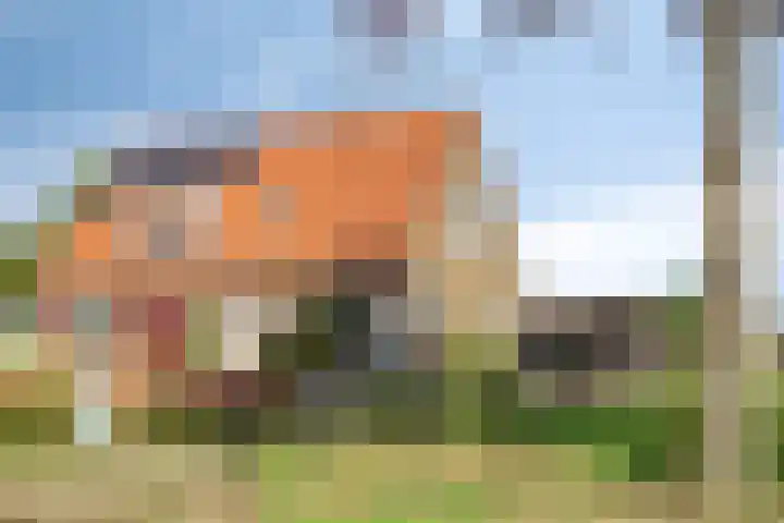 Waardweg 2 Middenmeer thumbnail 8