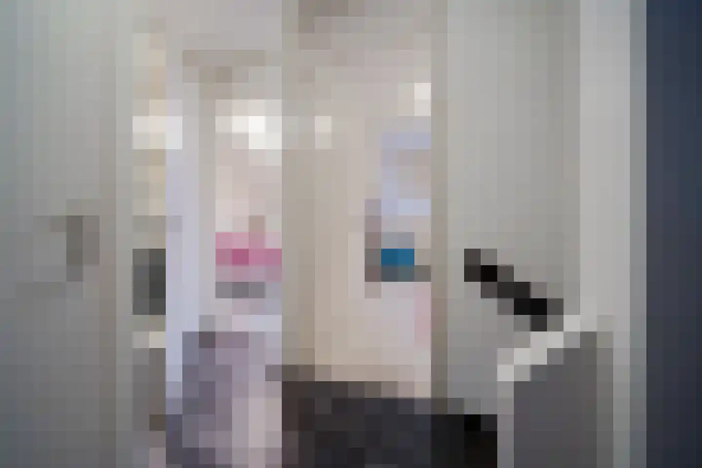 Waardwei 3 Den Burg thumbnail 12