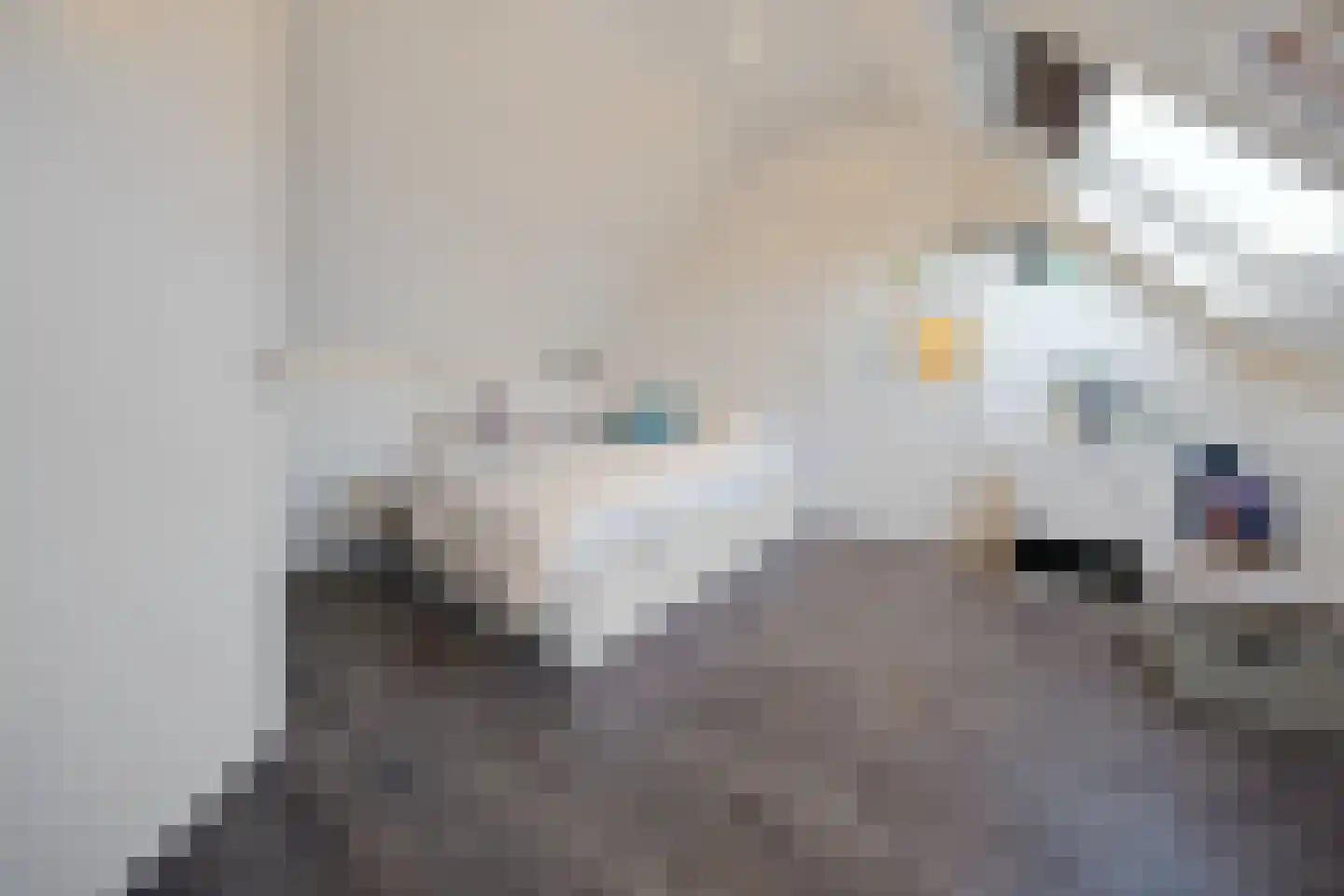 Waardwei 3 Den Burg thumbnail 21