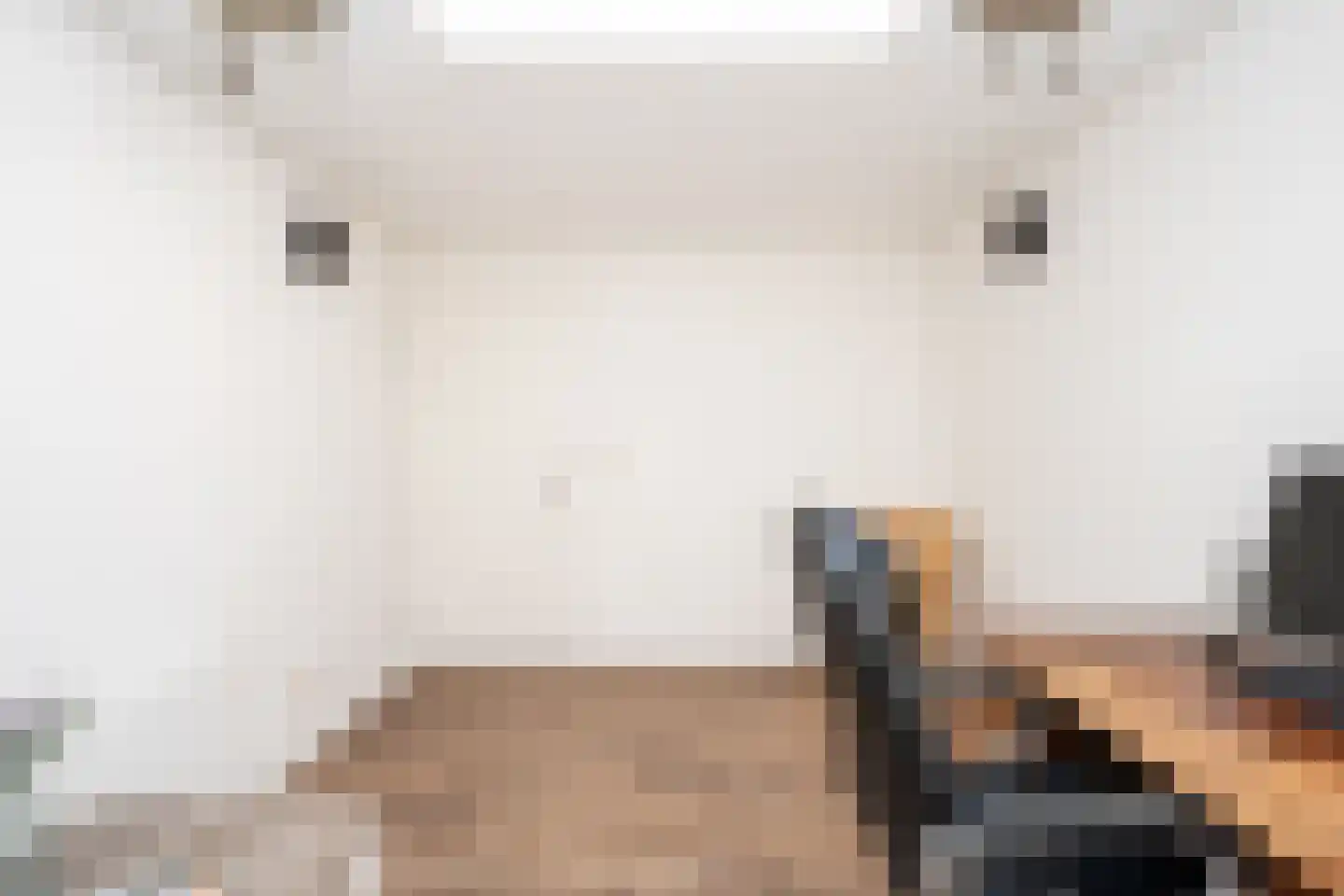 Waardwei 3 Den Burg thumbnail 23