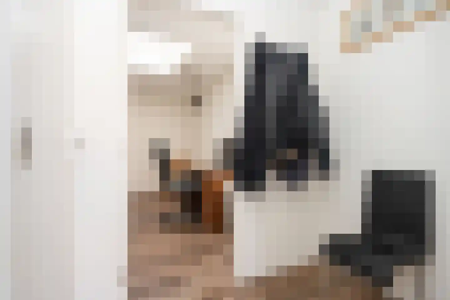 Waardwei 3 Den Burg thumbnail 25