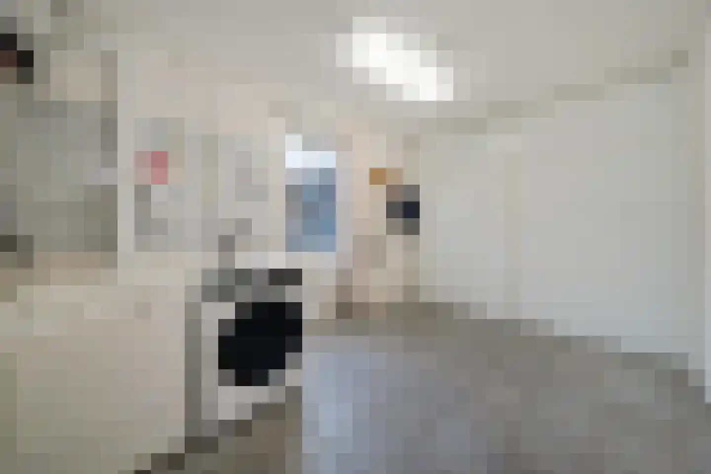 Waardwei 3 Den Burg thumbnail 28