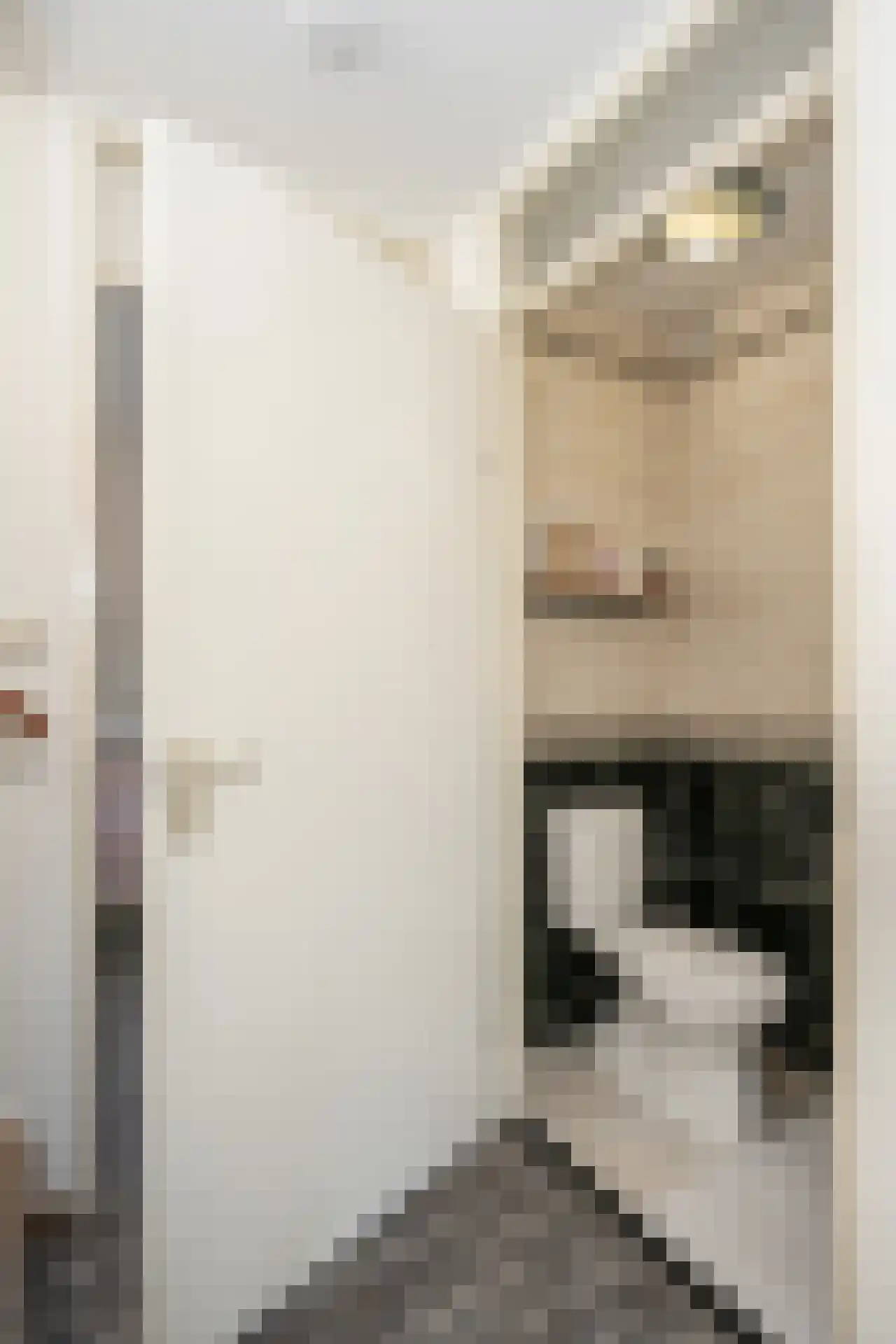 Waardwei 3 Den Burg thumbnail 36