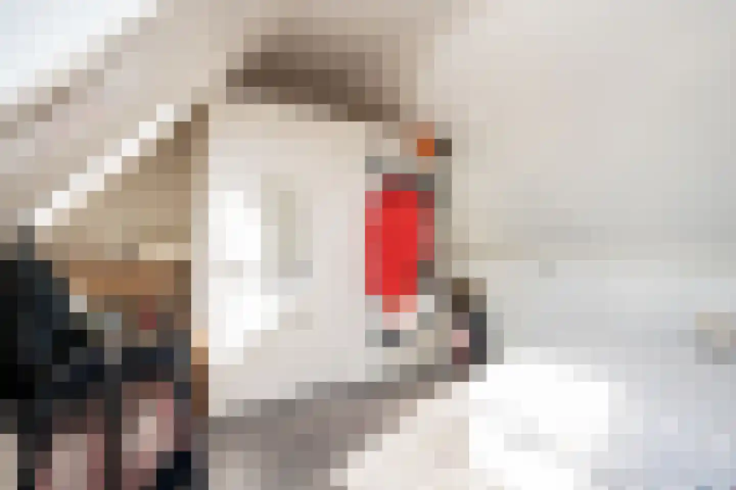Waardwei 3 Den Burg thumbnail 44