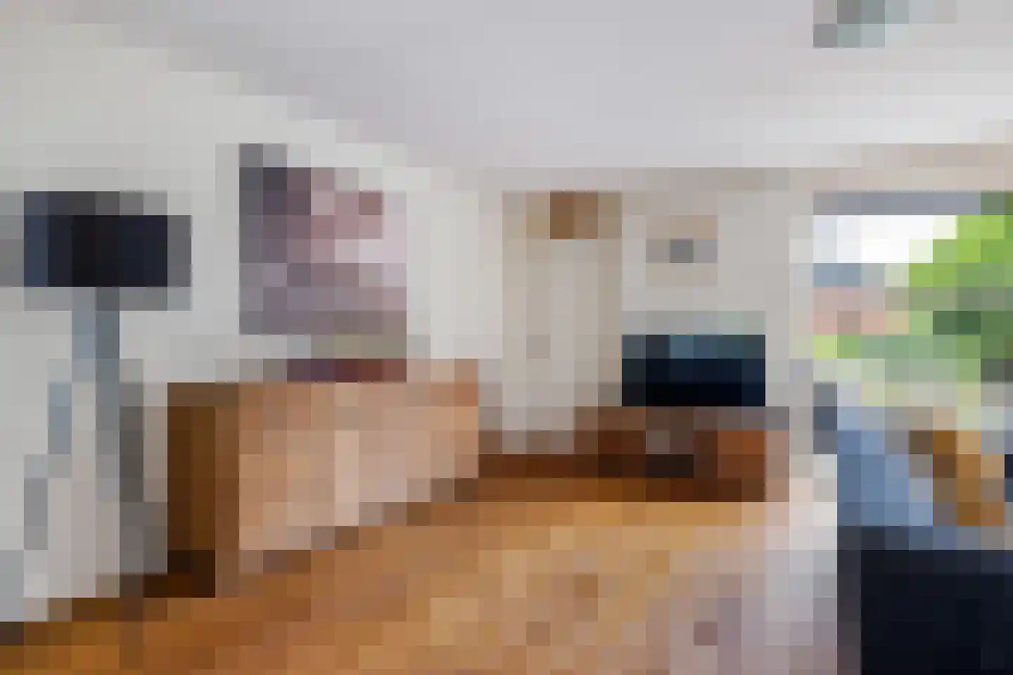 Waarlamke 14 Dronryp thumbnail 16