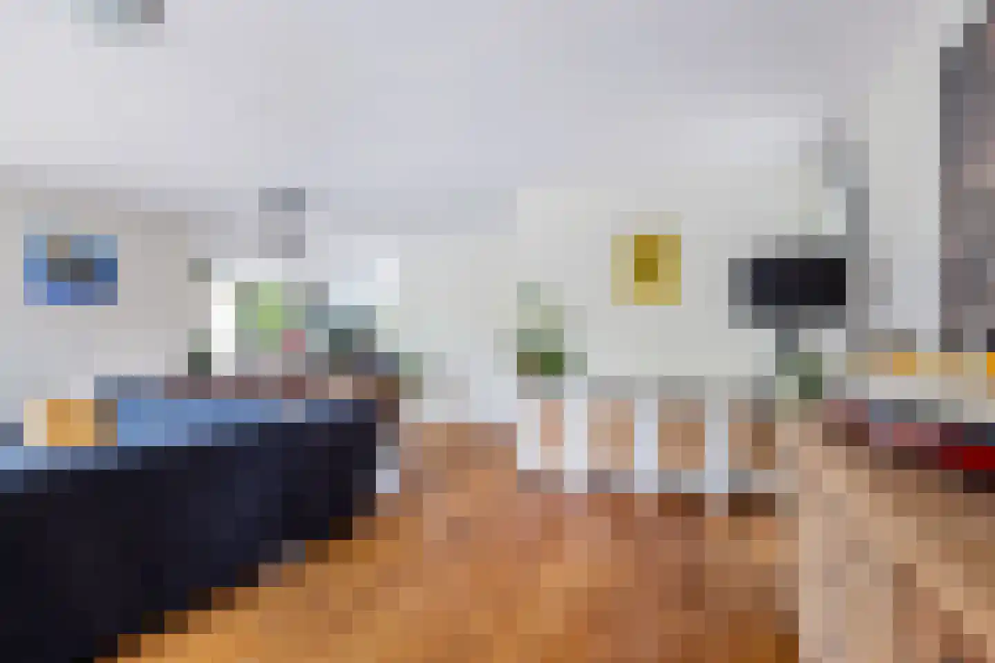 Waarlamke 14 Dronryp thumbnail 17