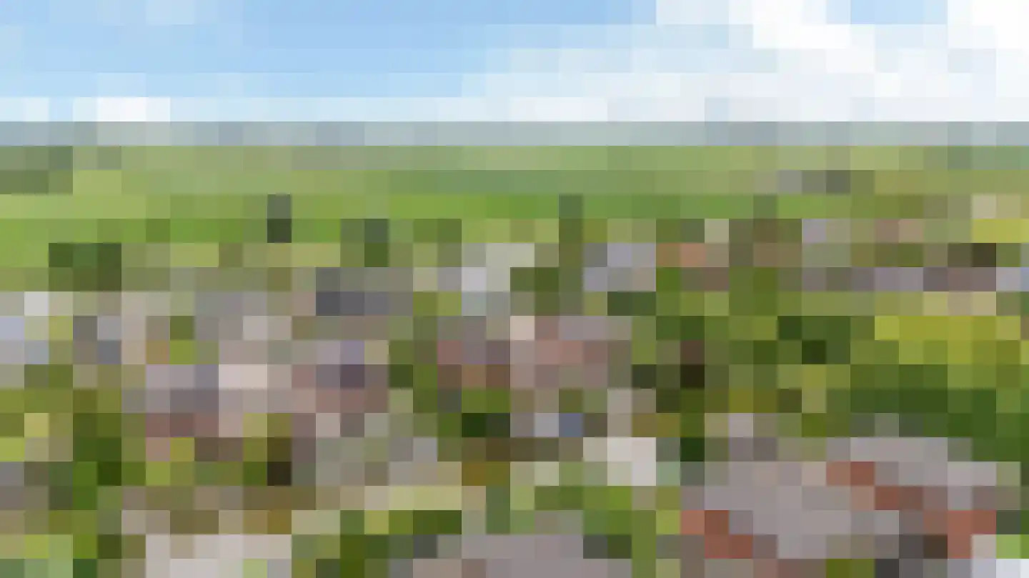 Waarlamke 14 Dronryp foto 3