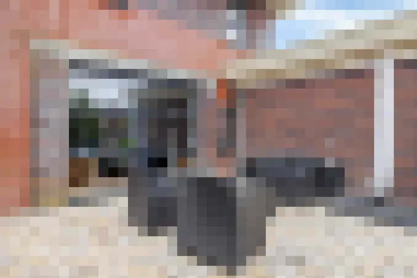 Waarlamke 14 Dronryp thumbnail 39