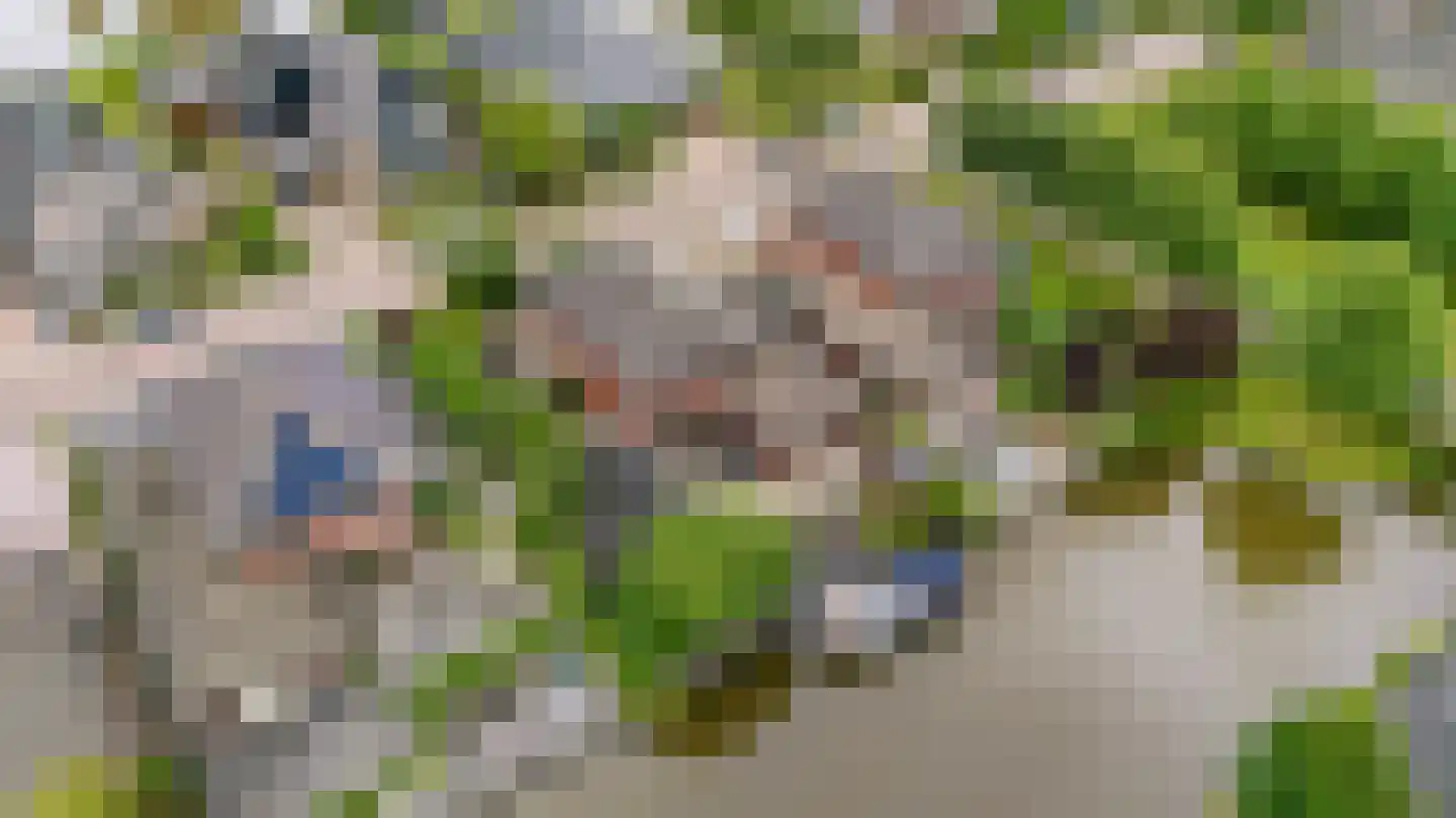 Waarlamke 14 Dronryp thumbnail 56
