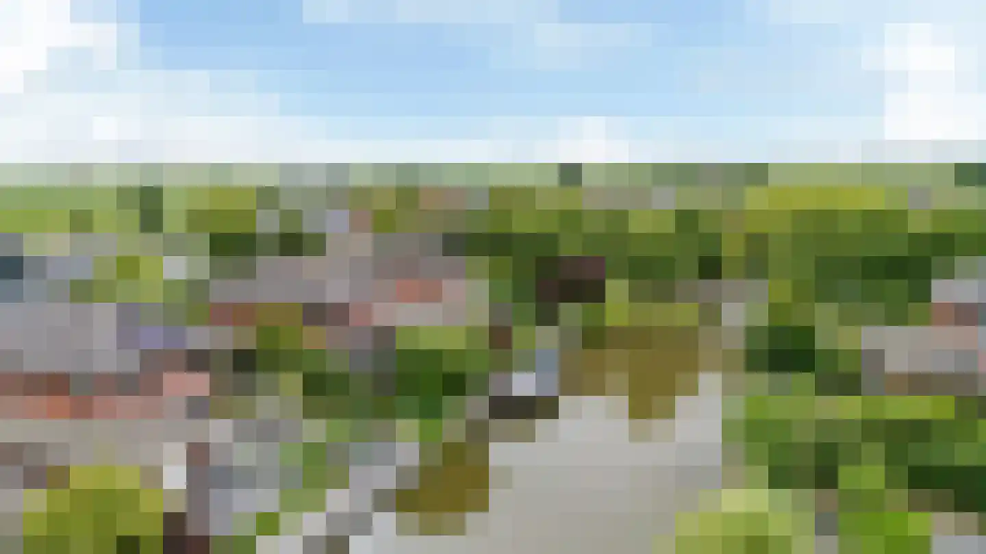 Waarlamke 14 Dronryp thumbnail 57