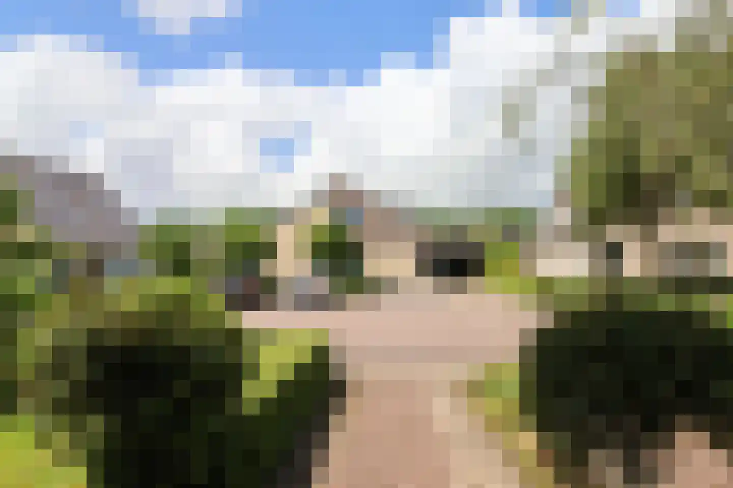 Waarlamke 19 Dronryp thumbnail 19