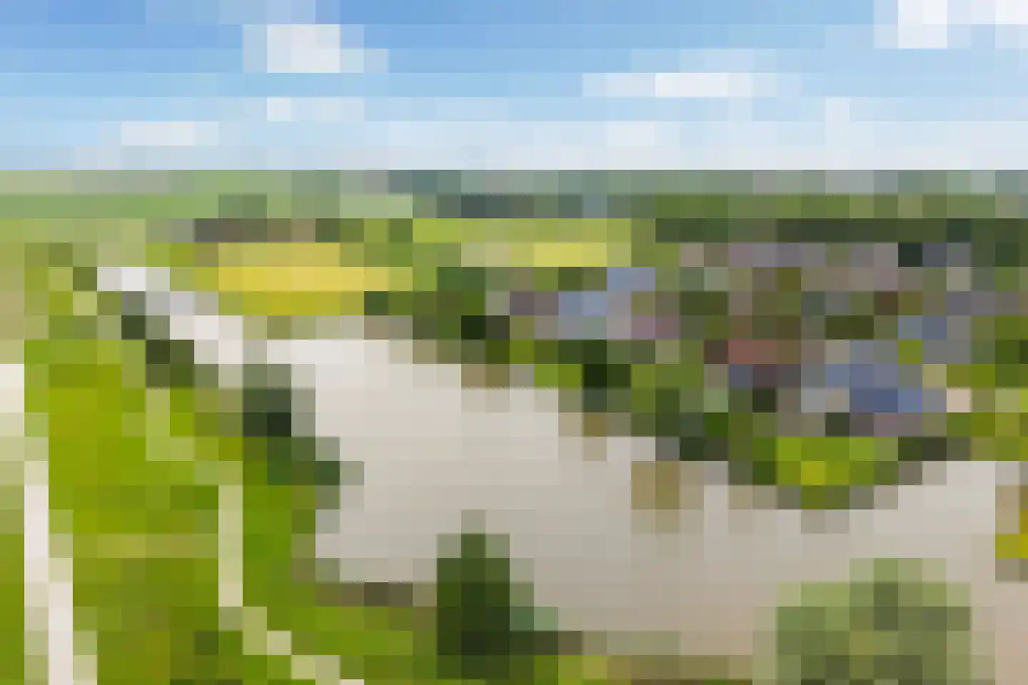 Waarlamke 19 Dronryp foto 2