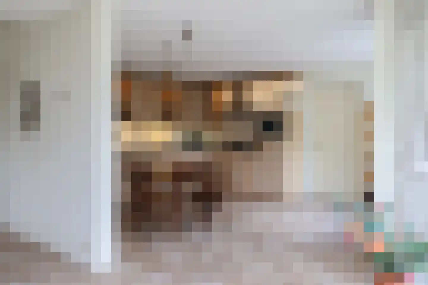 Waarlamke 19 Dronryp thumbnail 36