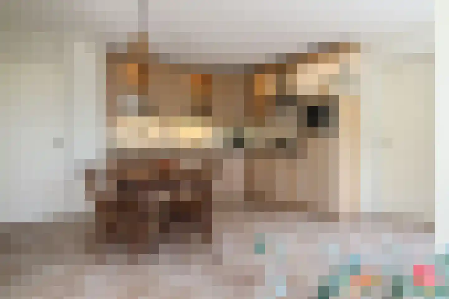 Waarlamke 19 Dronryp thumbnail 37