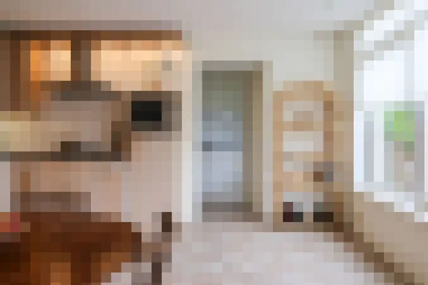 Waarlamke 19 Dronryp thumbnail 5