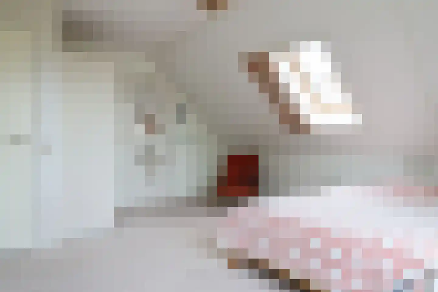 Waarlamke 19 Dronryp thumbnail 6