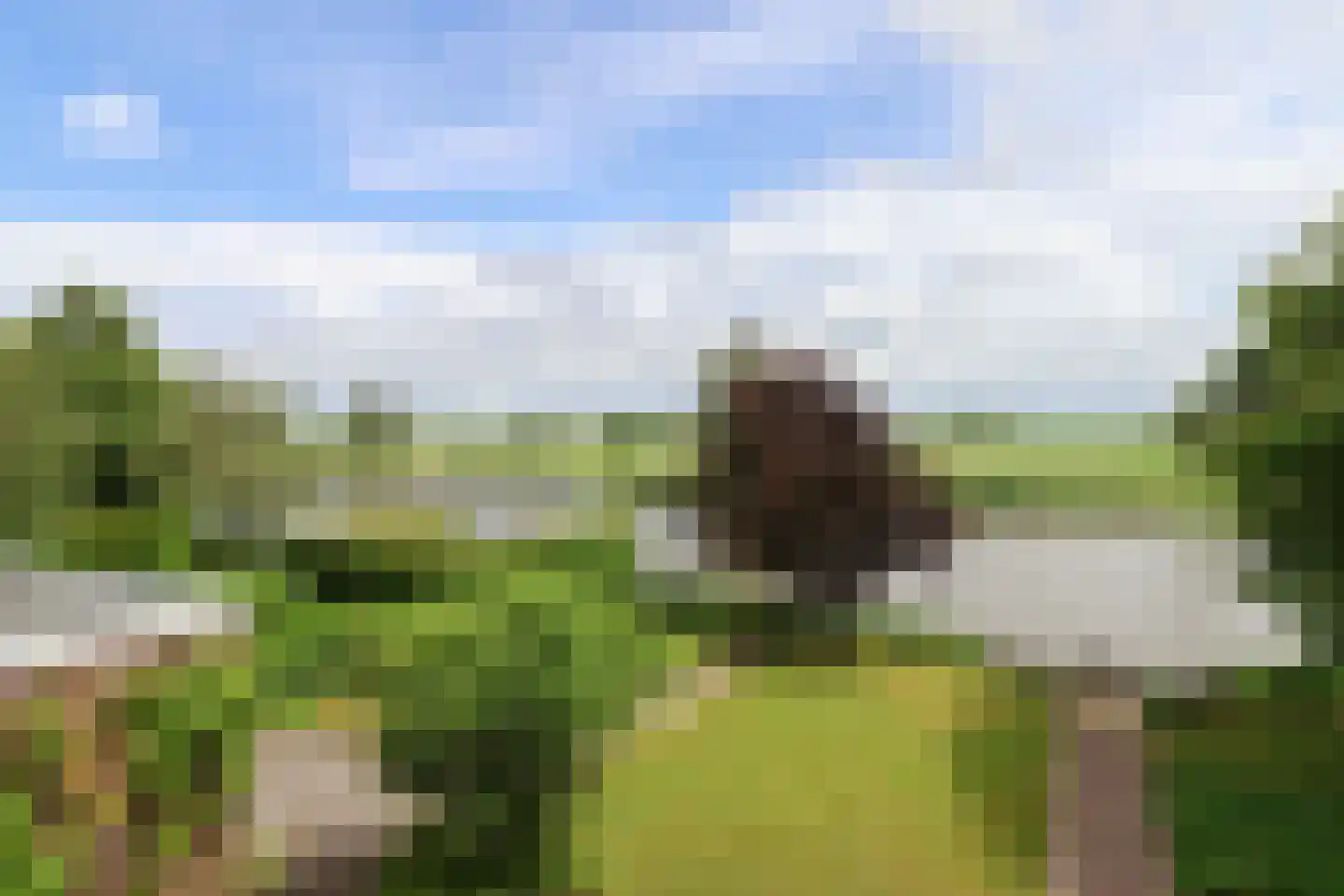 Waarlamke 19 Dronryp thumbnail 70