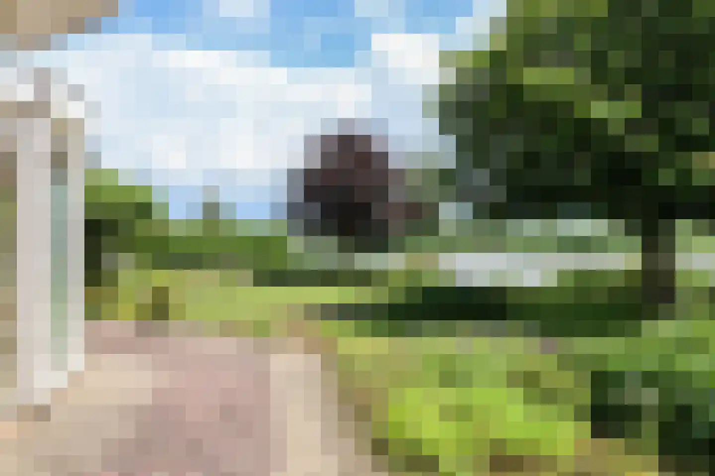 Waarlamke 19 Dronryp thumbnail 71