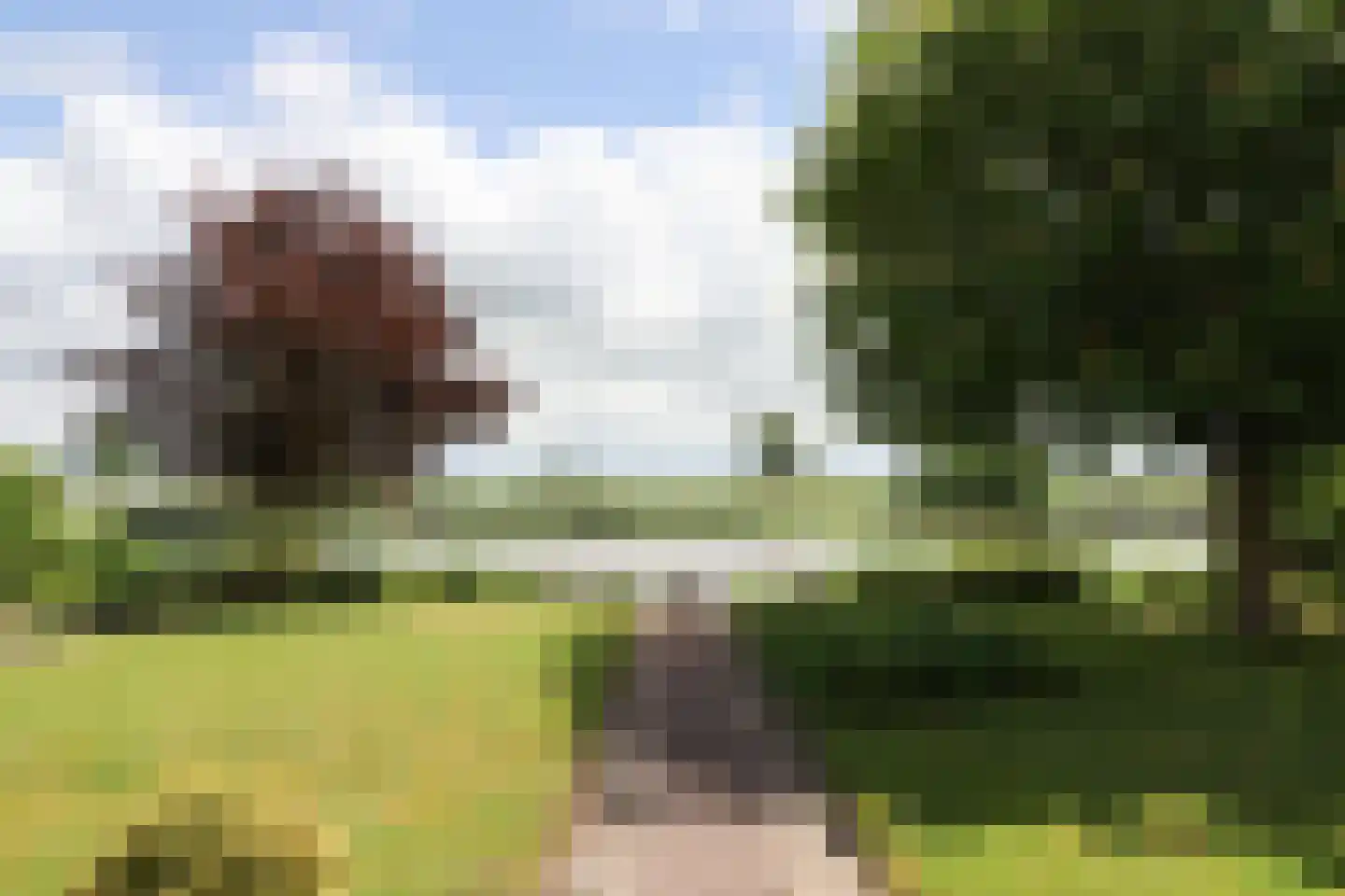 Waarlamke 19 Dronryp thumbnail 72