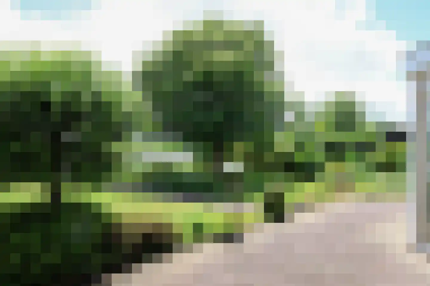 Waarlamke 19 Dronryp thumbnail 73