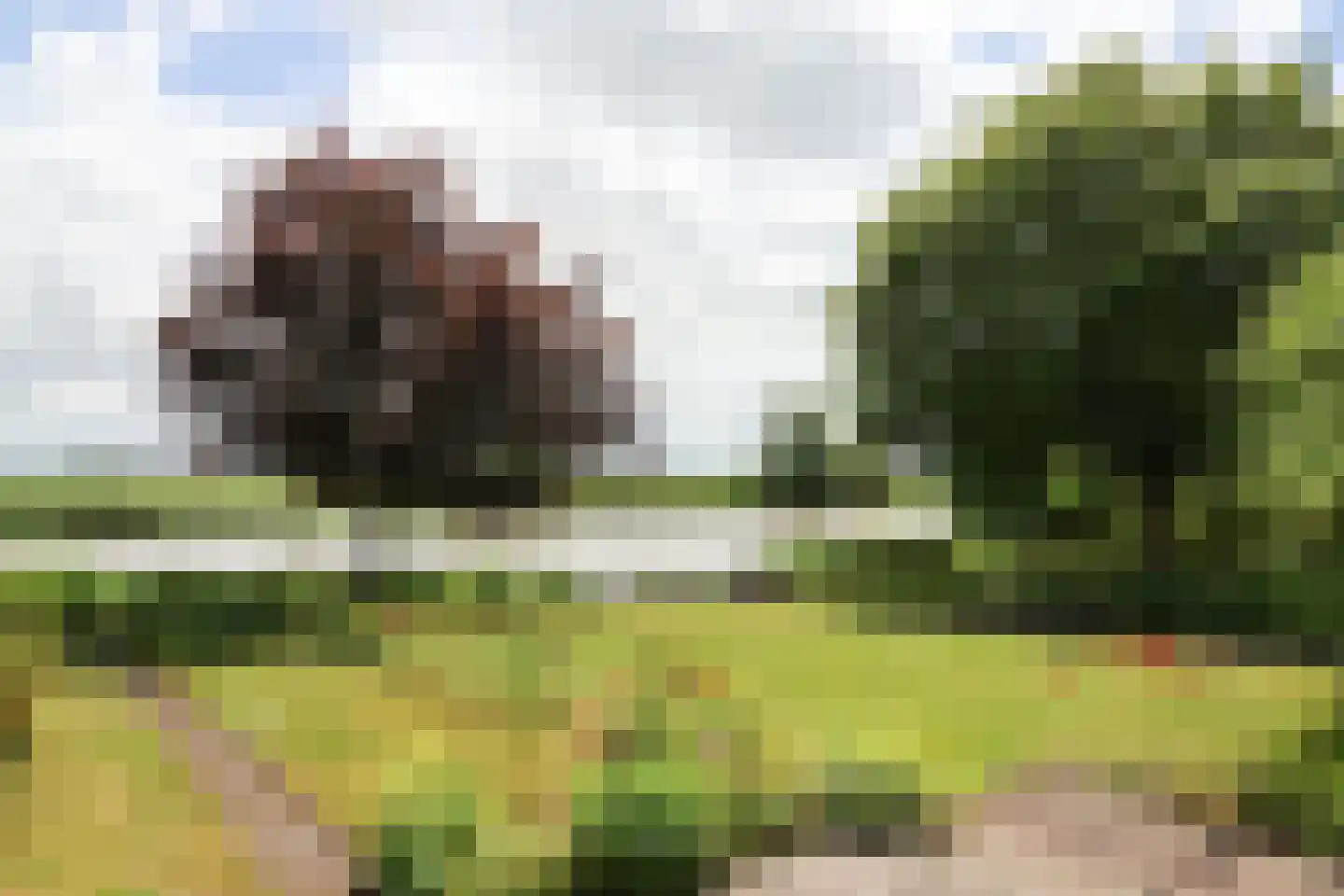 Waarlamke 19 Dronryp thumbnail 74