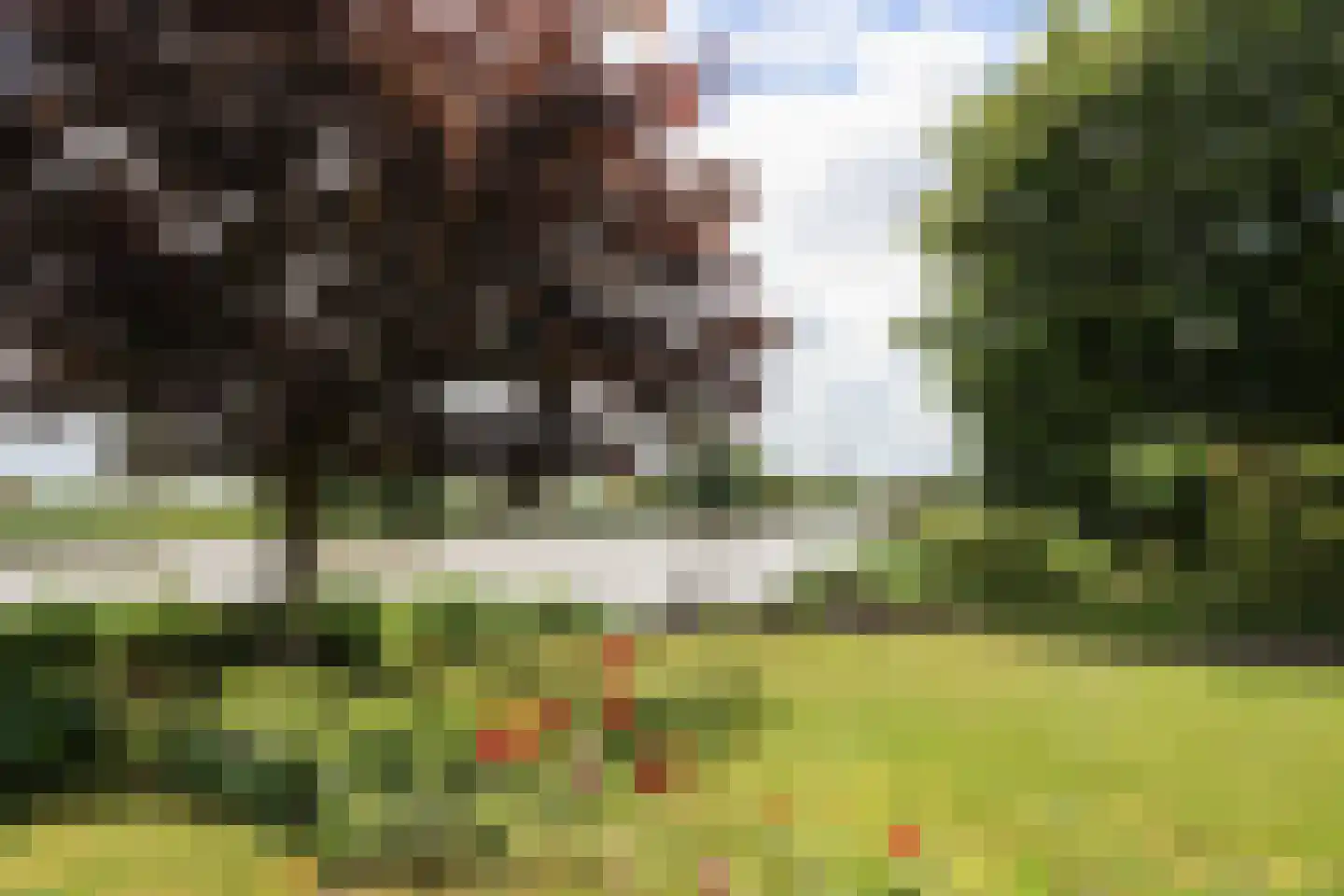 Waarlamke 19 Dronryp thumbnail 75