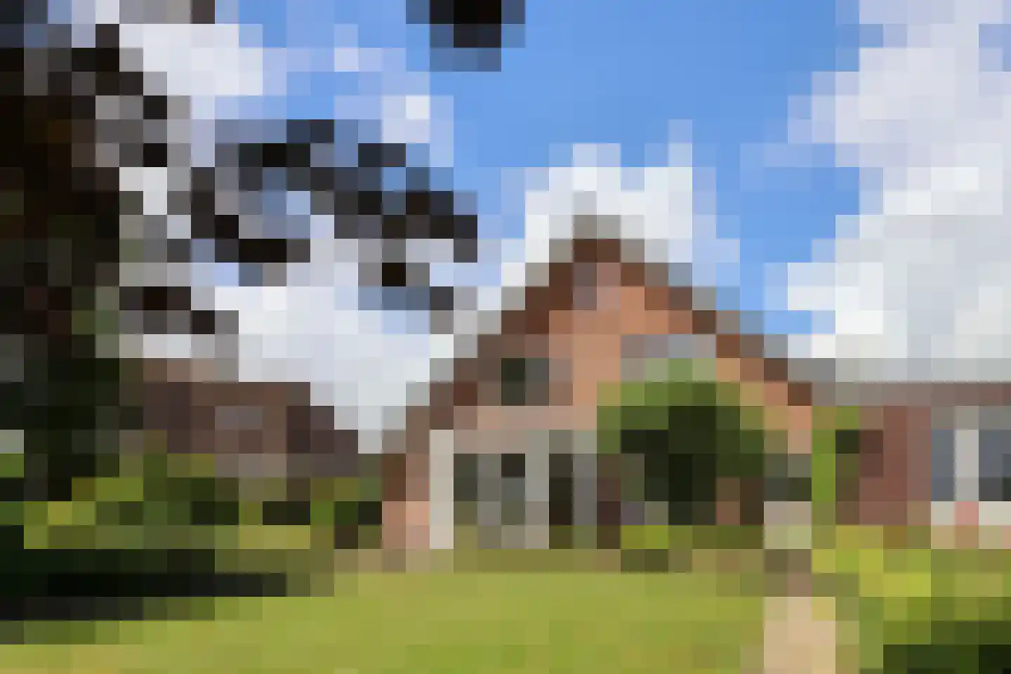 Waarlamke 19 Dronryp thumbnail 83