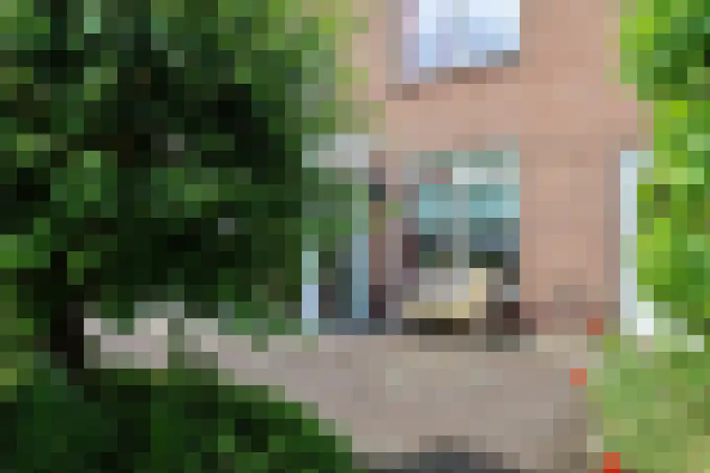 Waarlamke 19 Dronryp thumbnail 84