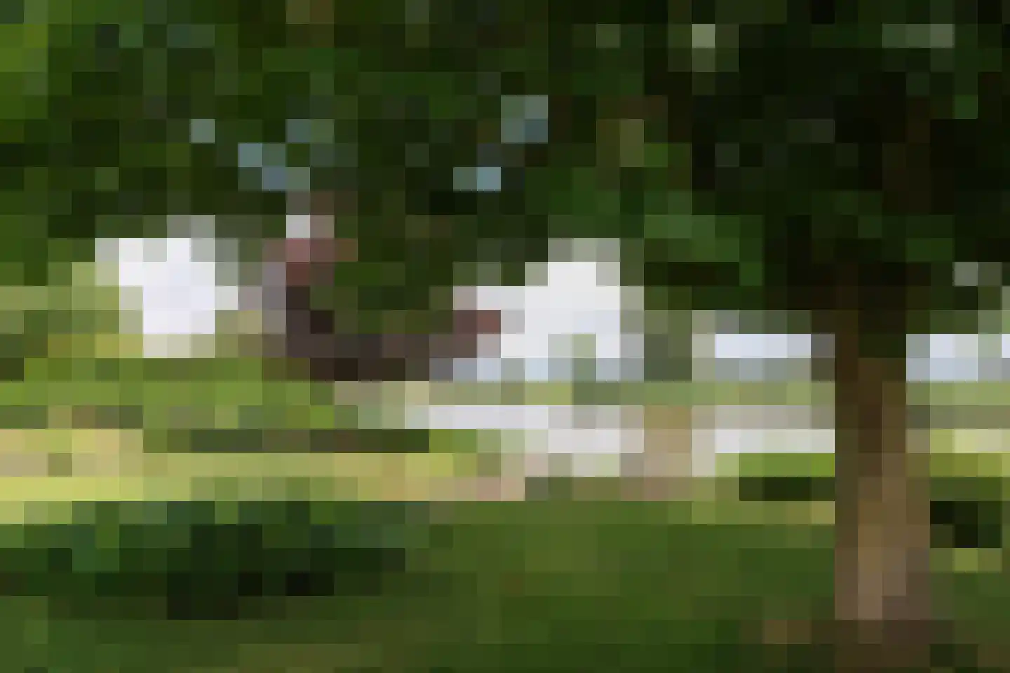 Waarlamke 19 Dronryp thumbnail 9