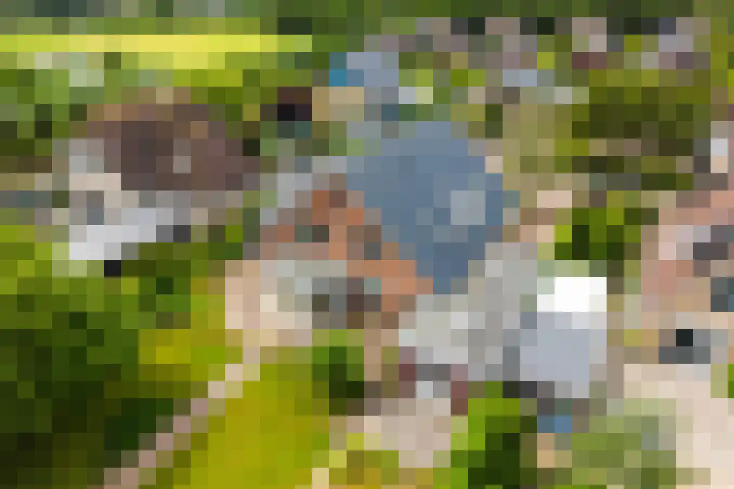 Waarlamke 19 Dronryp thumbnail 91