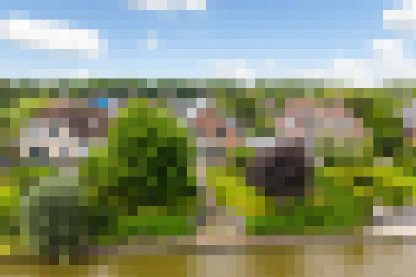 Waarlamke 19 Dronryp thumbnail 92