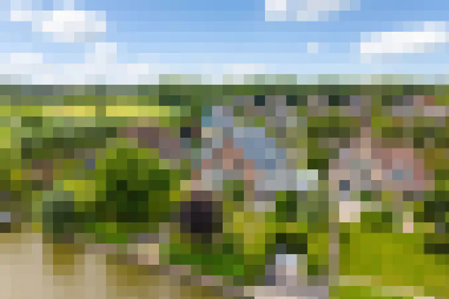 Waarlamke 19 Dronryp thumbnail 93