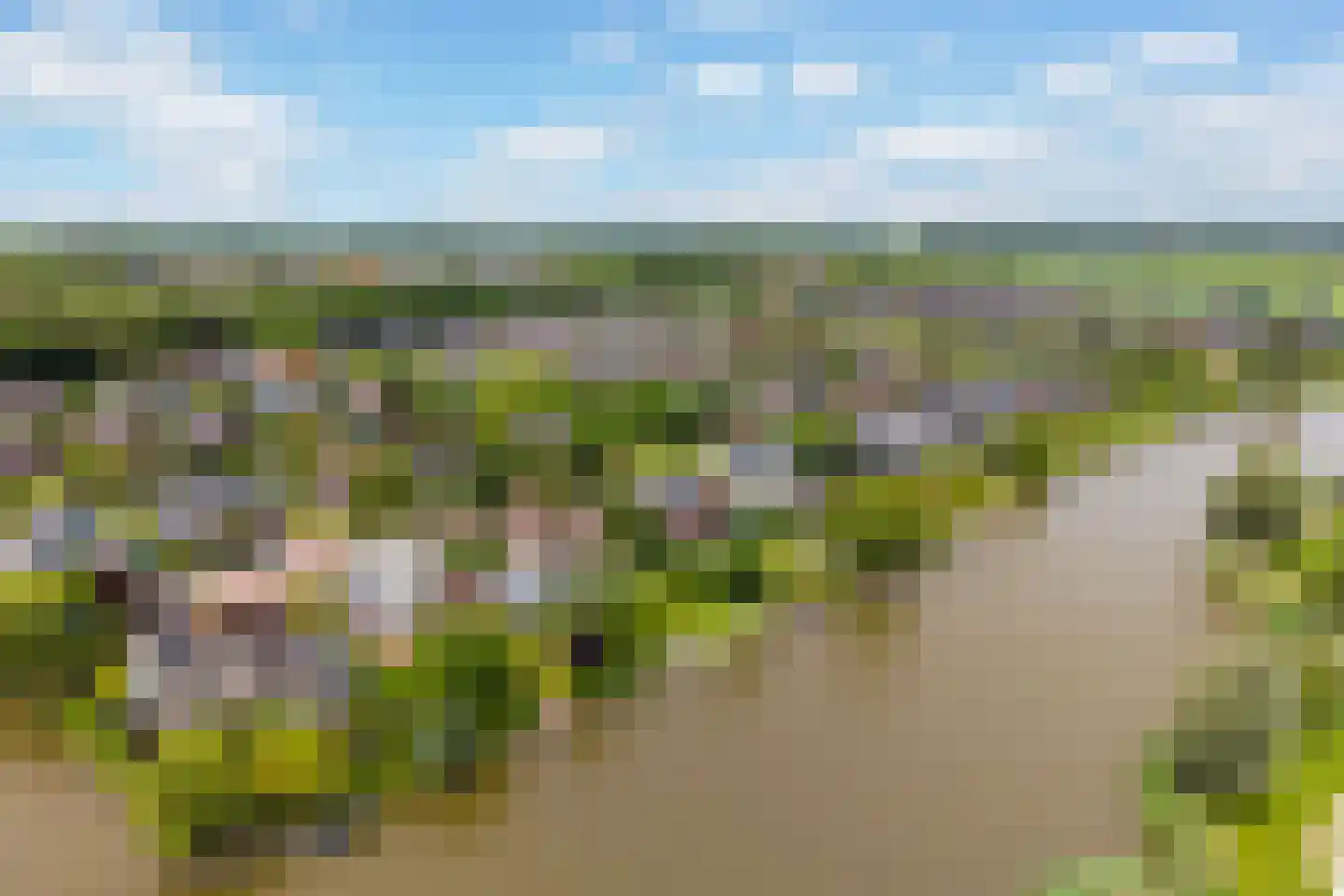 Waarlamke 19 Dronryp thumbnail 94
