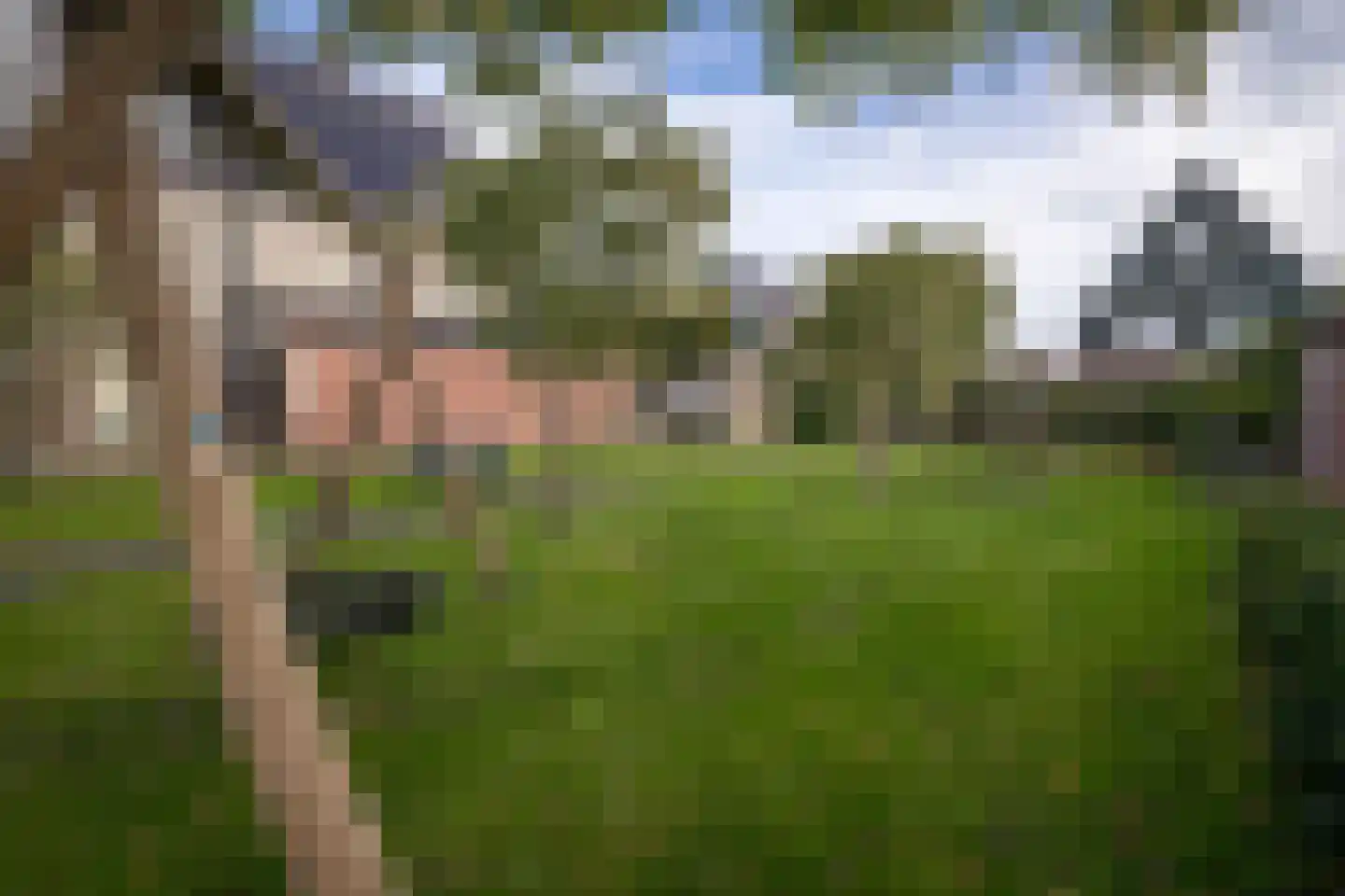 Waarschap 34 Zwaag thumbnail 38