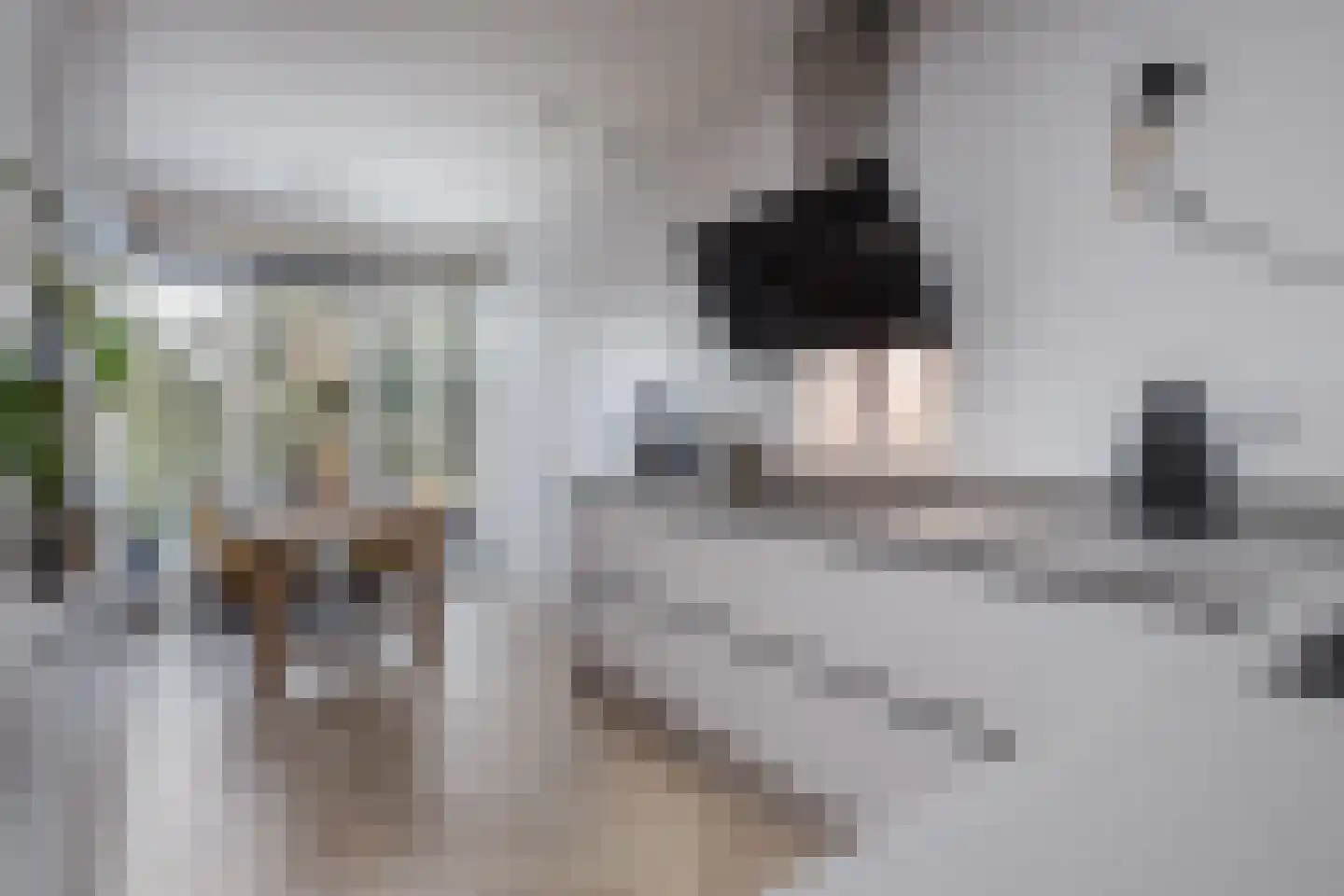 Waarschap 34 Zwaag thumbnail 4
