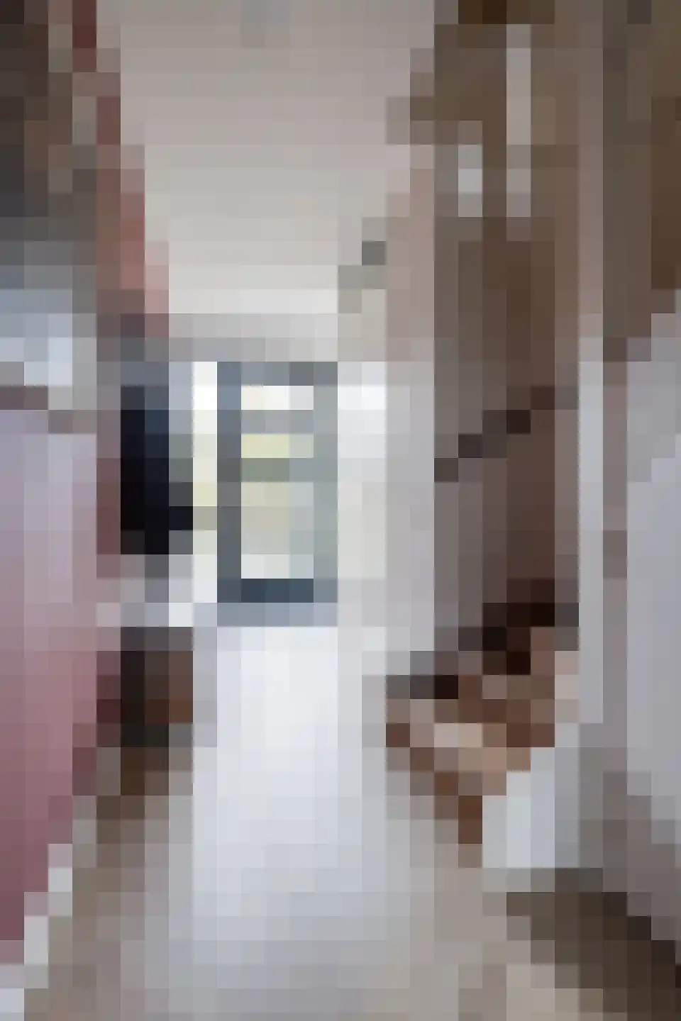 Waarschap 34 Zwaag thumbnail 41