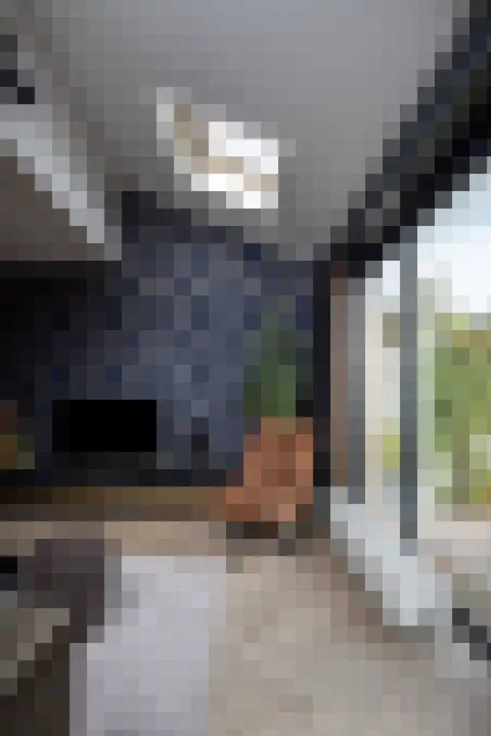 Waarschap 34 Zwaag thumbnail 43
