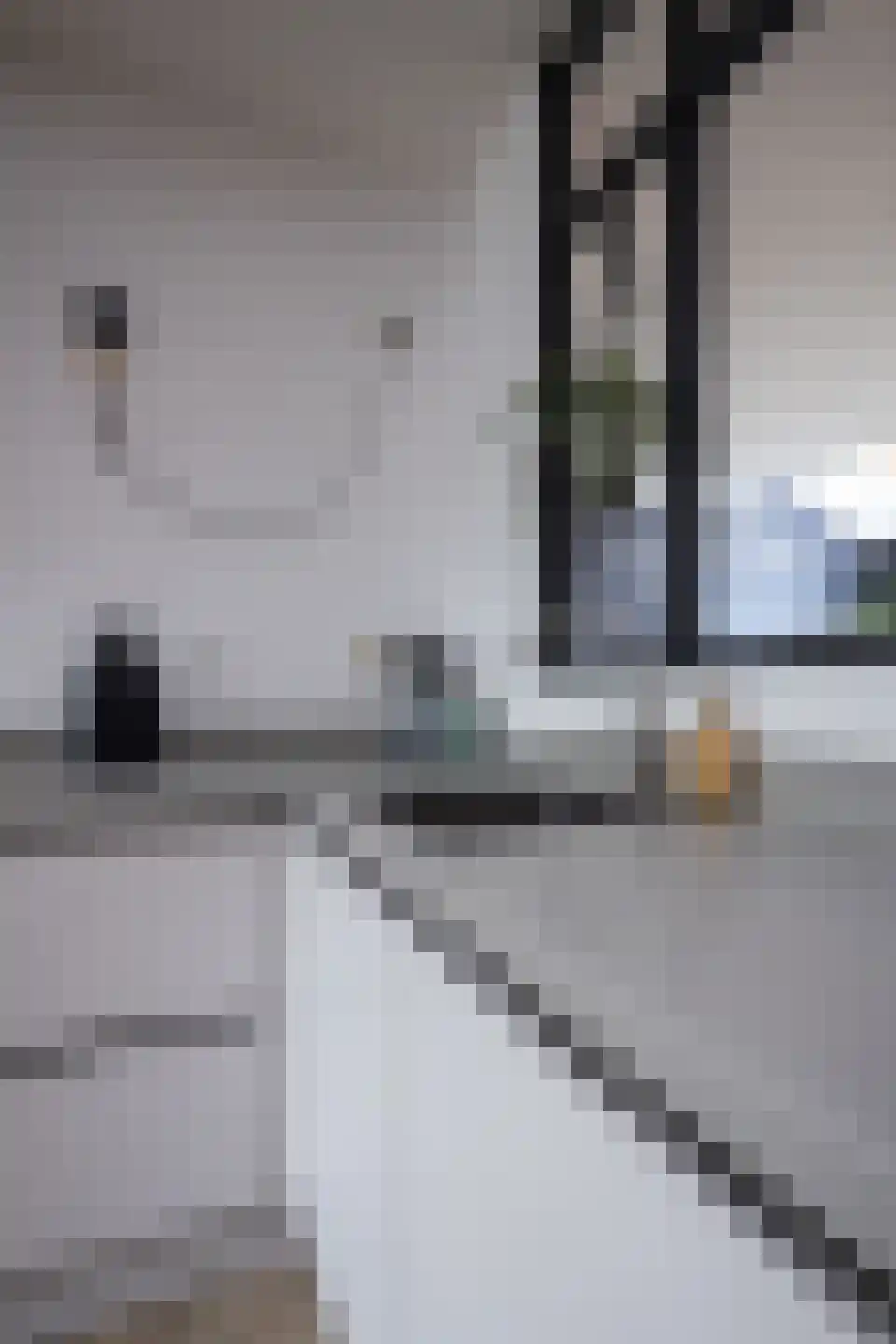 Waarschap 34 Zwaag thumbnail 46