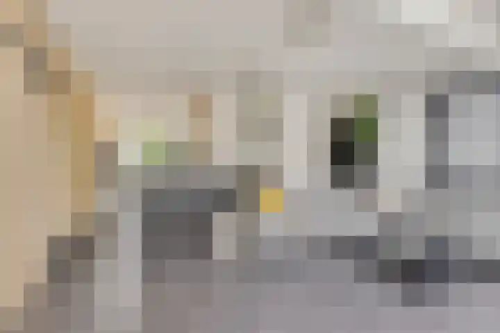 Waarschap 38 Zwaag thumbnail 10