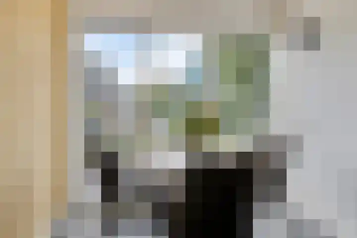 Waarschap 38 Zwaag thumbnail 11