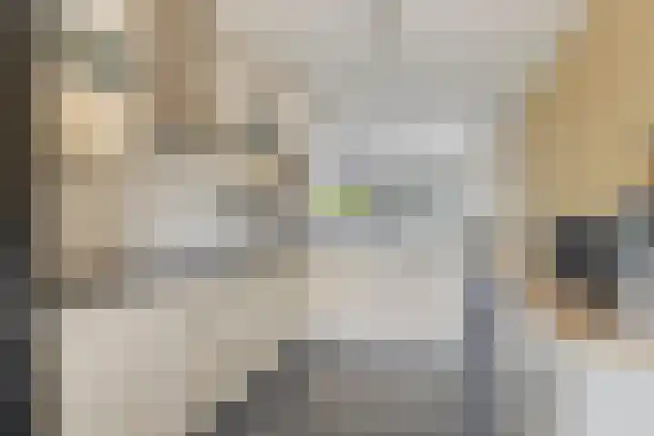 Waarschap 38 Zwaag thumbnail 12