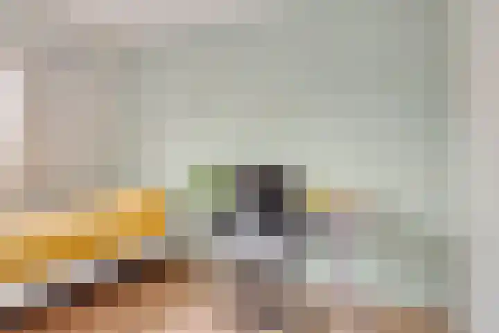 Waarschap 38 Zwaag thumbnail 17