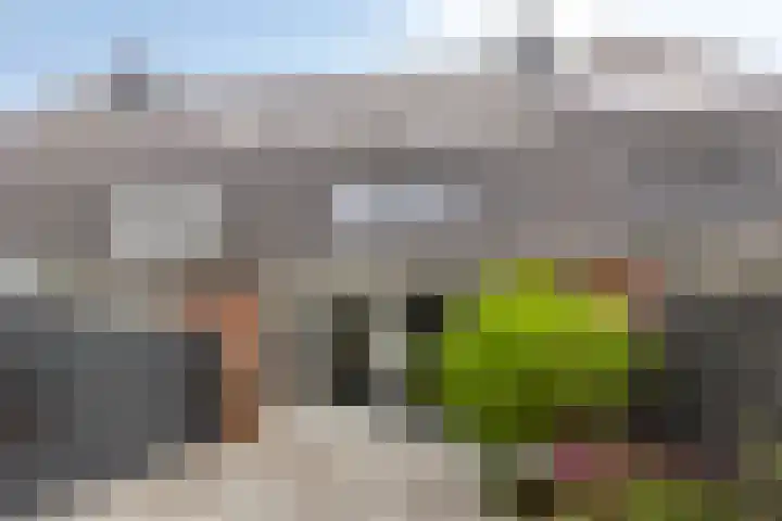 Waarschap 38 Zwaag thumbnail 24