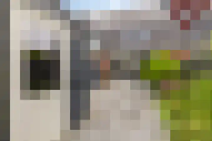 Waarschap 38 Zwaag thumbnail 25