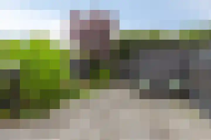 Waarschap 38 Zwaag thumbnail 5