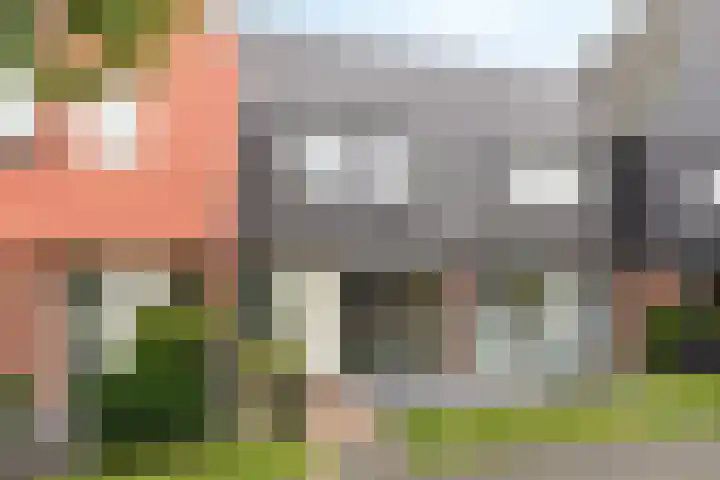 Waarschap 38 Zwaag thumbnail 6
