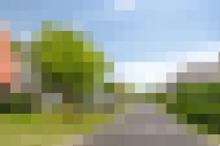 Waarschap 38 Zwaag thumbnail 7