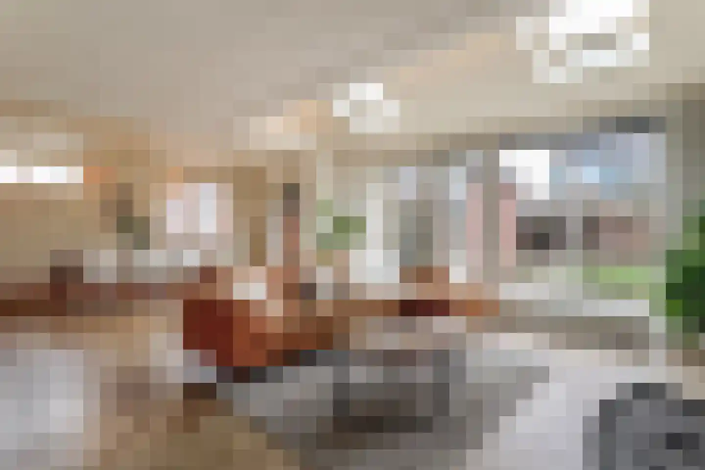 Waarschap 50 Zwaag thumbnail 10