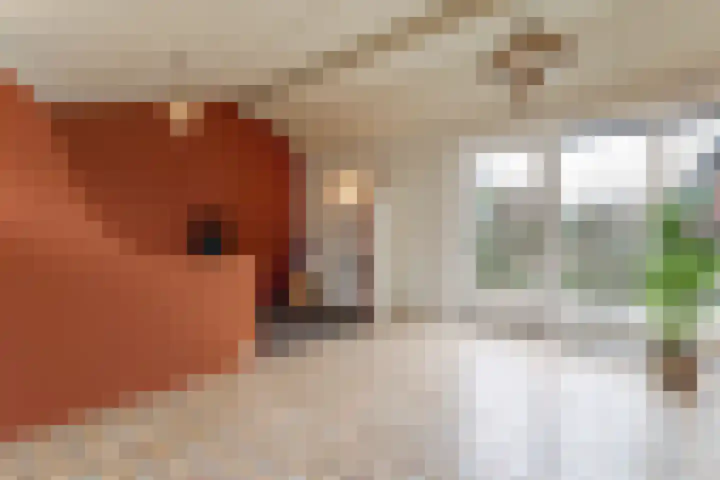 Waarschap 50 Zwaag thumbnail 20